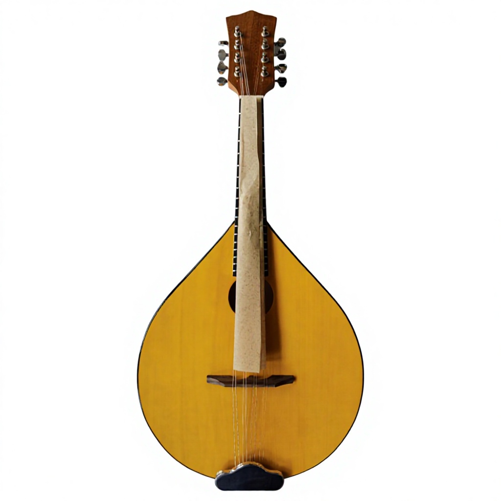 Mandolin A Style - 8-String Acoustic Banjo, Basswood Back and