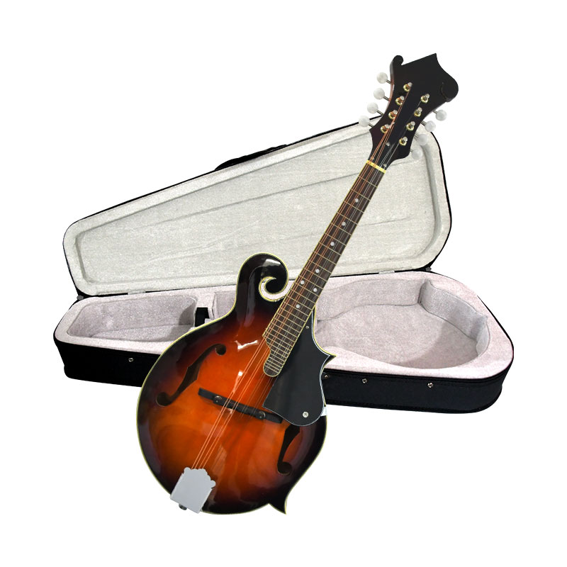 F Style Mandolin, 8 String Aco - Mandolin A Style ulasan dan harga