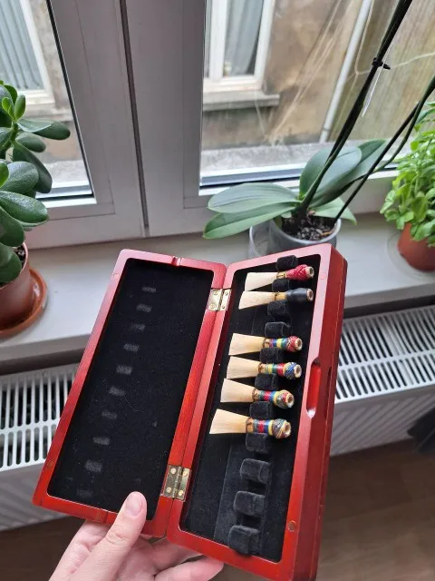 1pcs Bassoon Reed Storage Case - Musical Instrument Bassoon ulasan dan harga