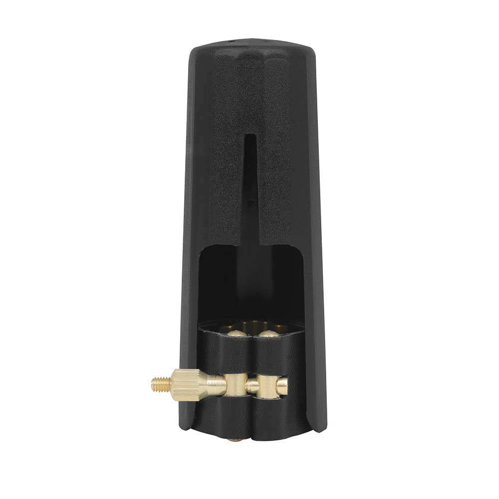 Professional Saxophone Clarine - Musical Instrument Repair ulasan dan harga